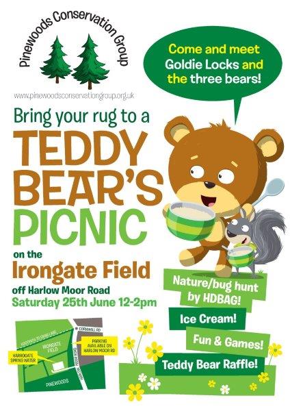 Teddy Bears Picnic at Irongate Field | Pinewoods Conservation Group ...